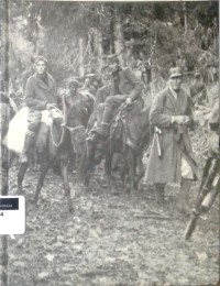 Partisan dan gerilyawan