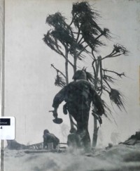 Pertempuran di pulau